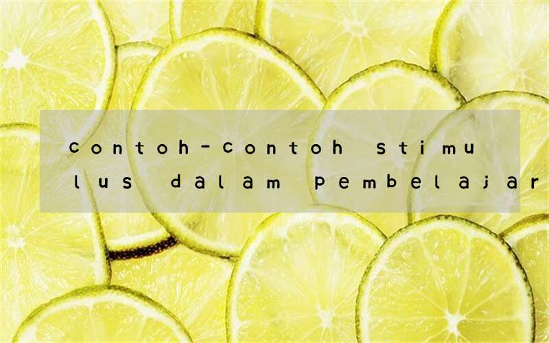 contoh-contoh stimulus dalam pembelajaran bahasa inggris
